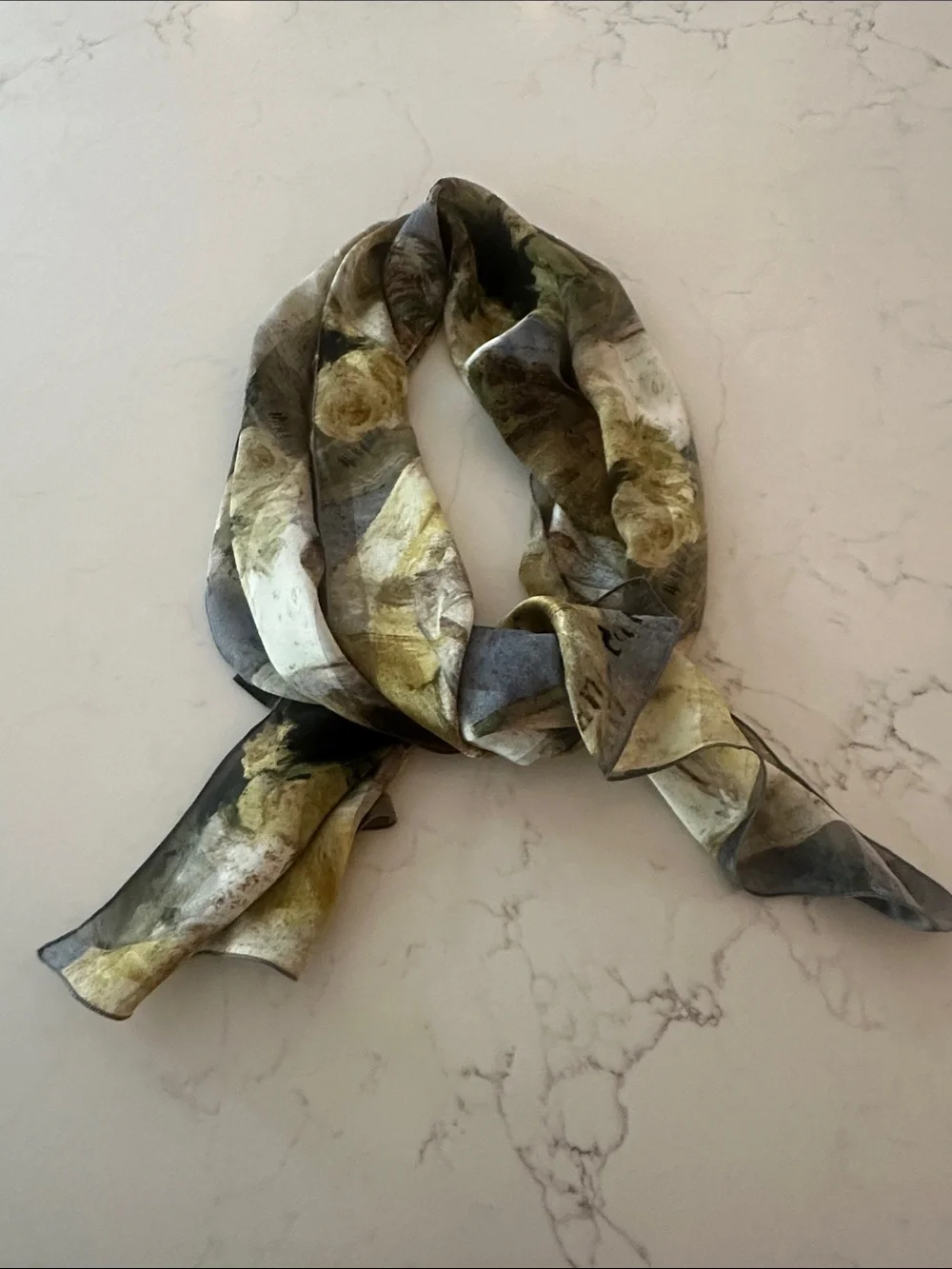 Beautiful Broichier Soieries Silk Scarf 